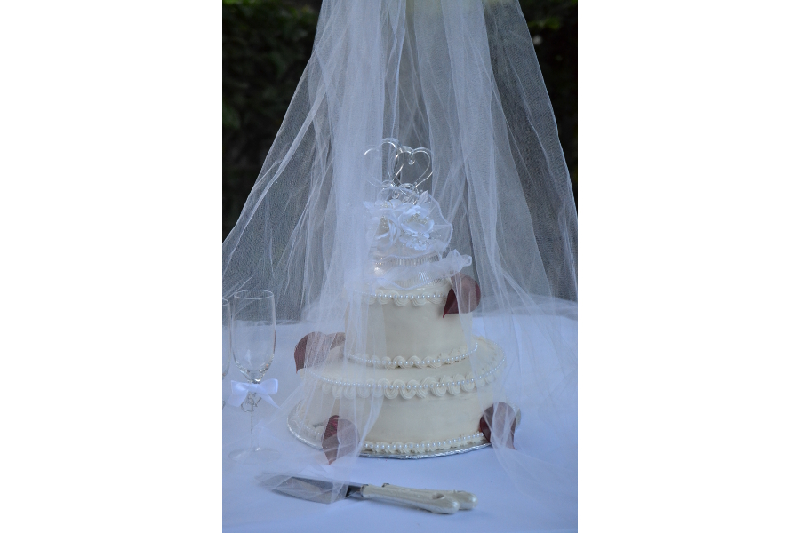 wedding cake with netting